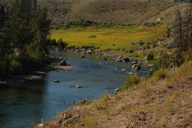 the Lamar Valley